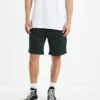 VT Distend Walkshorts Ivy Stone