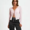 Ivy Laced Sheer Top In Pink -Insight Shop 1 73946