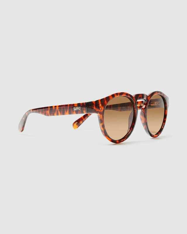 BNE Sunglasses Polished Tort Brown 4 BNE Sunglasses Polished Tort Brown - Image 2