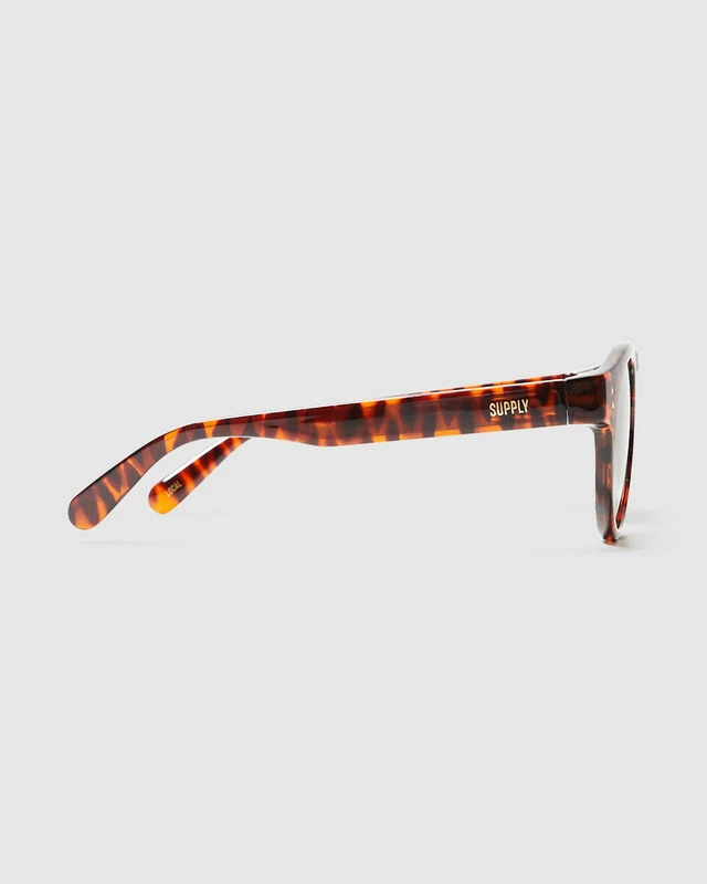 BNE Sunglasses Polished Tort Brown 6 BNE Sunglasses Polished Tort Brown - Image 4
