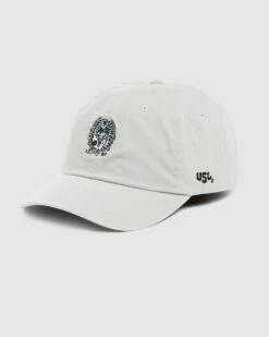 Seal Team Dad Cap Georgetown Stone -Insight Shop 4 7943