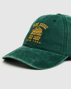 AMERICAN NEEDLE Camp Pine Brook Ball Park Bottle Green -Insight Shop 5 27201